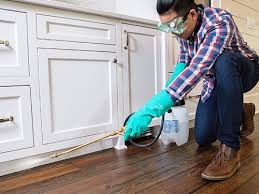 Best Real Estate Pest Inspections  in Metairie, LA