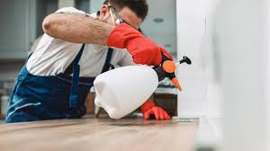 Best Residential Pest Control  in Metairie, LA